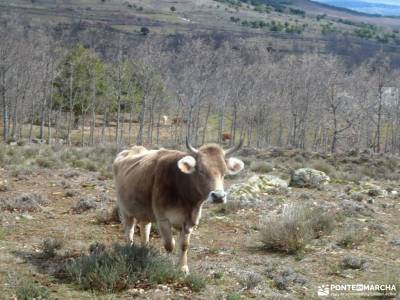 Chorrera o Chorro de San Mamés excursiones en españa senderismo en cercedilla escapadas singles fi